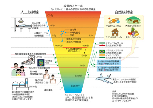 人工放射線と自然放射線